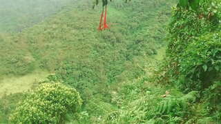 Coloimbianach ann an Coille a Thoirt air Cànan is Fucked le Choigrich Sex ann an Iomlaid Airson Cuideachadh Ionmhasail.