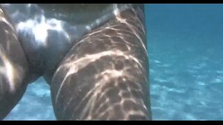 Chick te taobh istigh an d, an t-uisce ag porto da barra salvador bahia