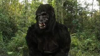 King Dong&amp;#039;s 40oz Bounce!