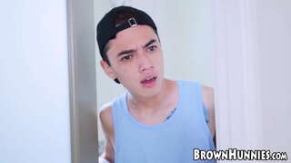 Bela nigra infaneto batis forte